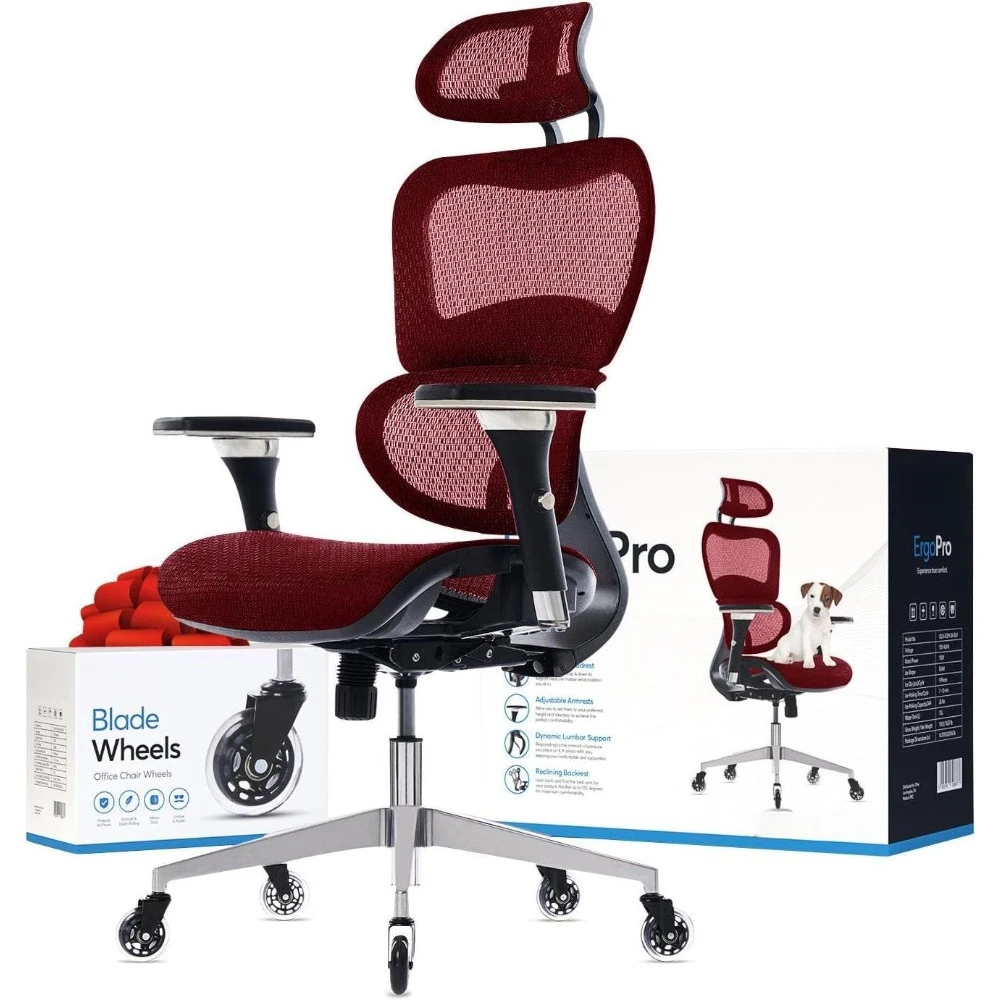 Ergonomic Office Chair, Rolling Desk Chair with 4D Adjustable Armrest, 3D Lumbar Support, Blade Wheels, Mesh Compu