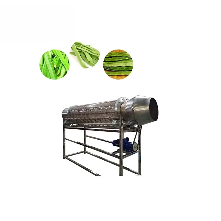Customizing Industrial Green Bean  Stainless Steel 304 Motor & Bearing 300kg/h Capacity