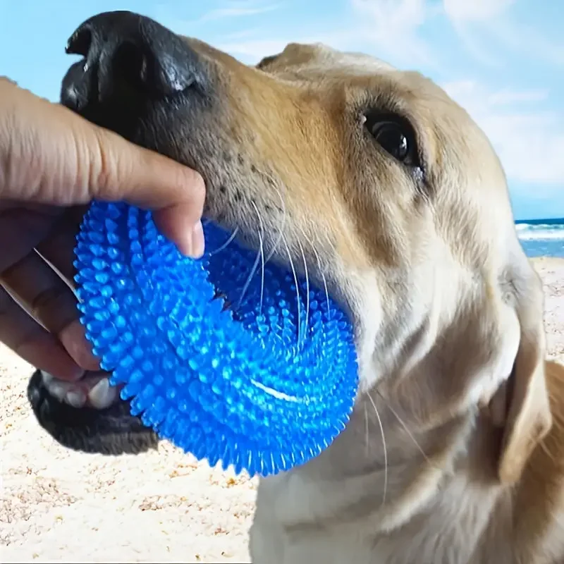 

Durable Squeaky Donut Chew Toy for Dogs - Perfect for Teething and Playtime