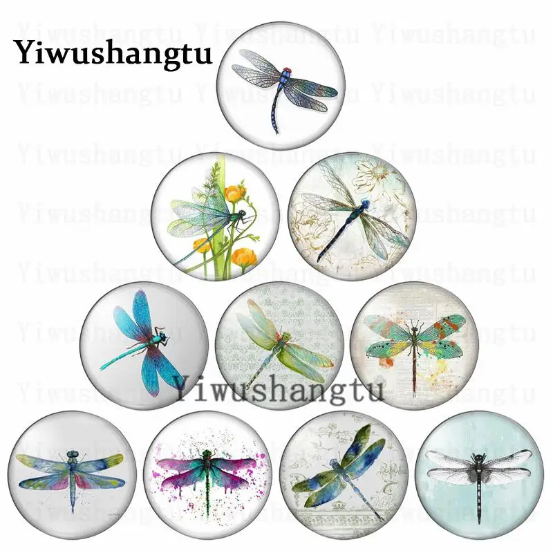 

Крылатые насекомое красивая стрекоза прекрасная 12 мм/20 мм/25 мм/30 мм круглая фото стекло кабошон демонстрация плоская спина