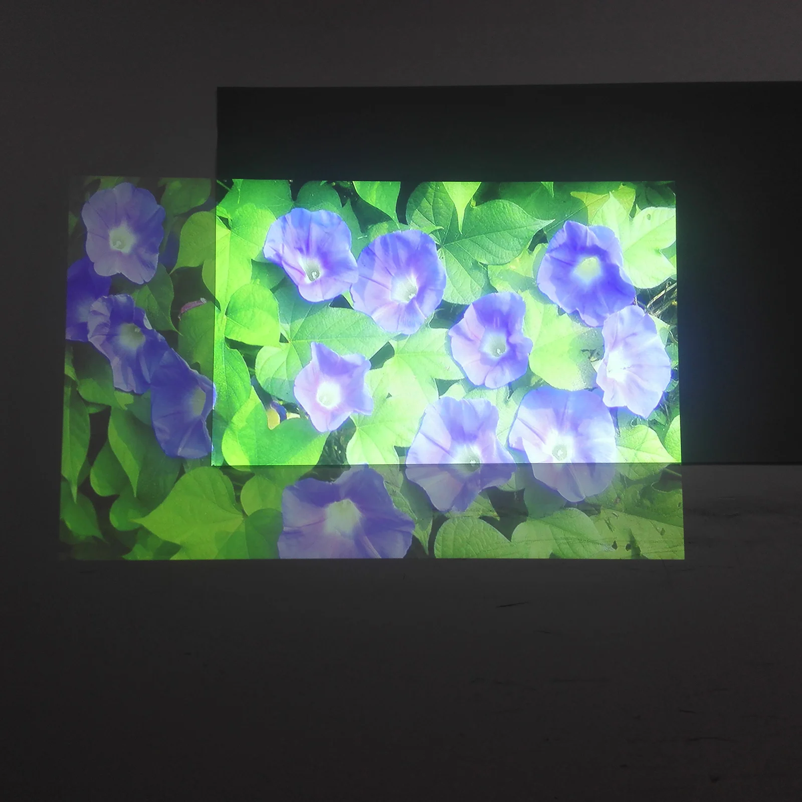 Thumbnail 3 - #24 Best Projection Screens to Buy In 2026