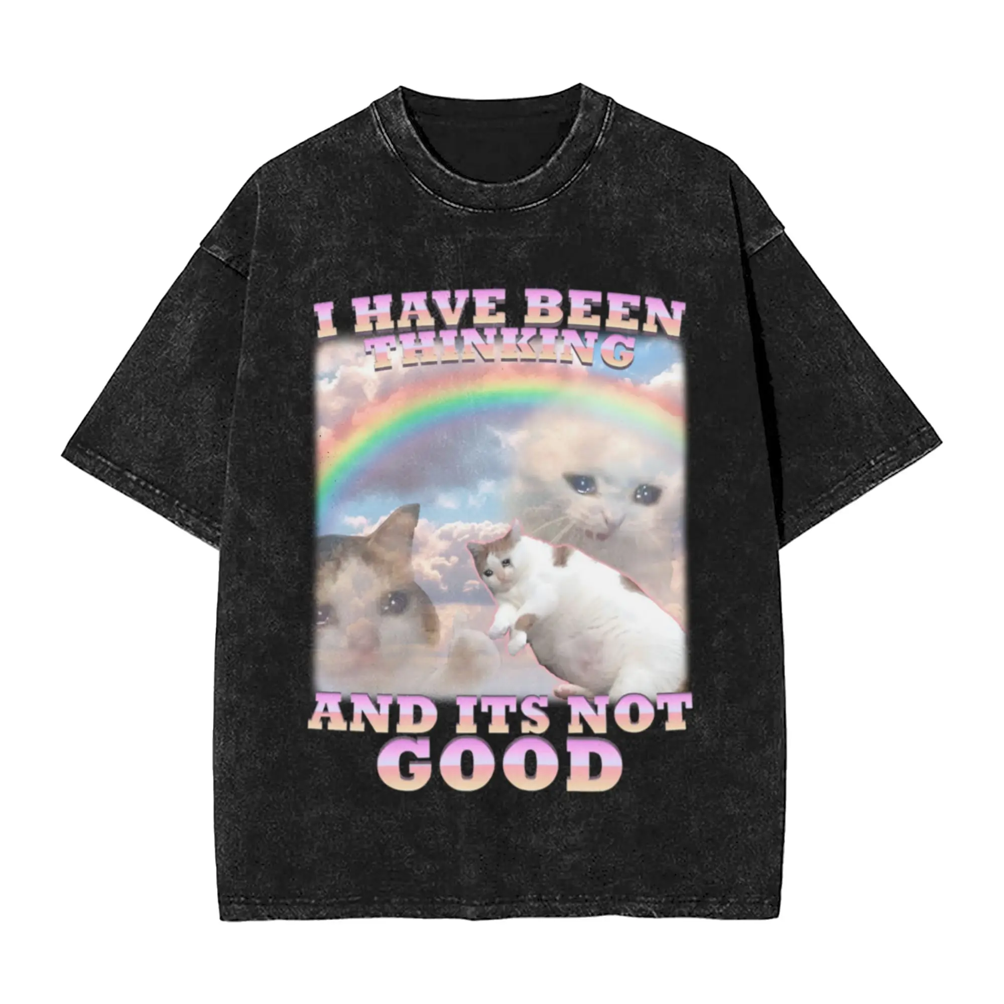 Funny Cat Meme Unhinged Stupid Memes Classic Stylish A Washed T Shirt Men's Women's Oversized Cotton Tees Tops