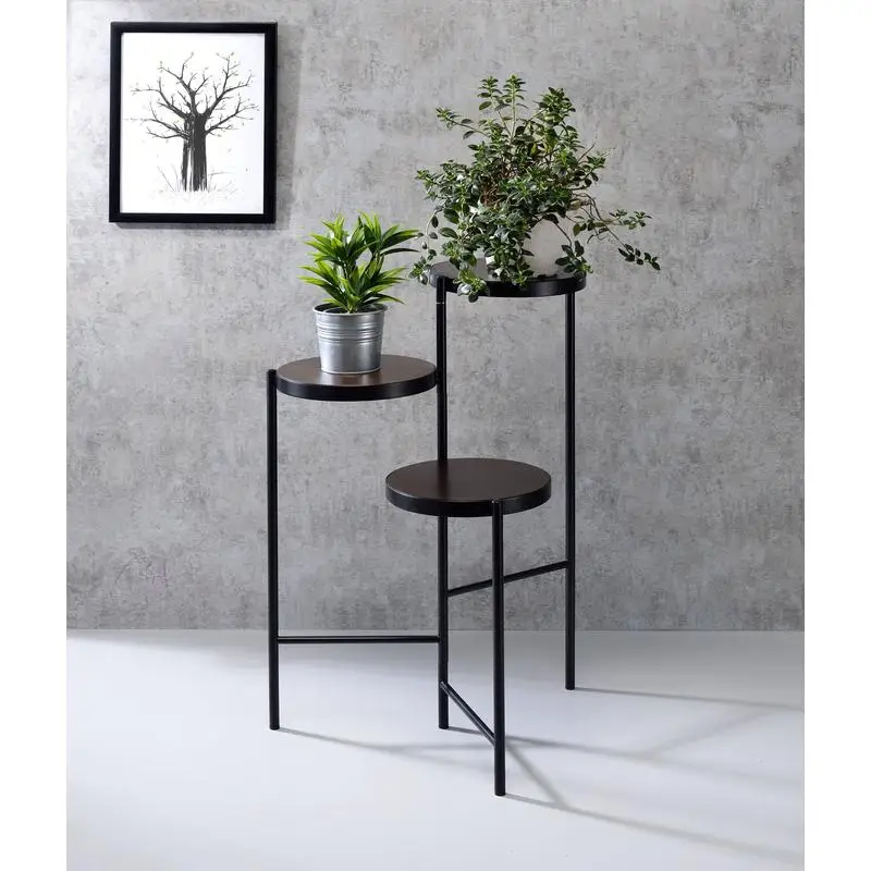 

Black Finish Plant Stand