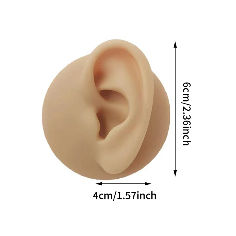 

1PC Soft Silicone Ear Model For Jewelry Display 1:1 Human Ear Model Simulation With Acrylic Display Teaching Tools Practice Ear