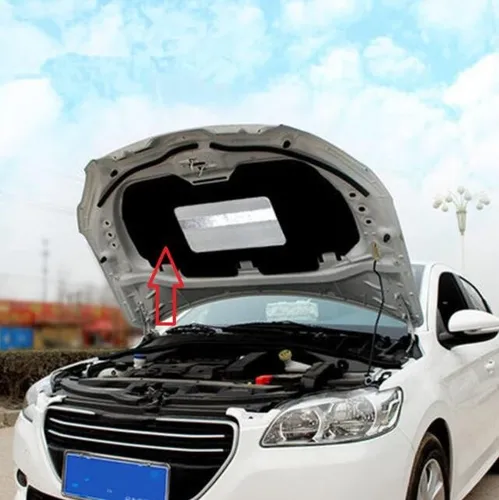 Imagen 2 del producto 2 uds estilo de coche para Citroen c-elysee Elysee 2014-2019 para Peugeot 301 amortiguador de polvo cubierta frontal óxido YJF