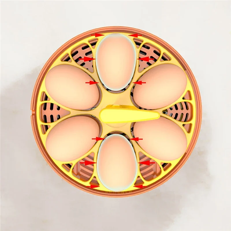 6 Eggs Fully Automatic Turning Hatchery Incubator Egg Brooder Machine Mini Household Digital Temperature Control Hatching Device view 3