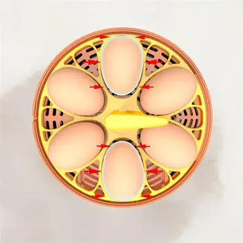 10 best sales Incubatrice per uova completamente automatica - №8