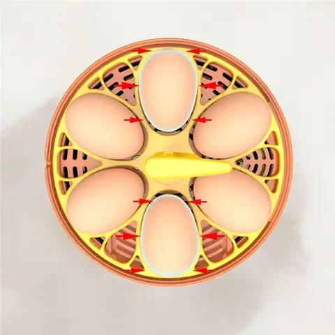 10 best sales अंडा इनक्यूबेटर पूरी तरह से स्वचालित - №8