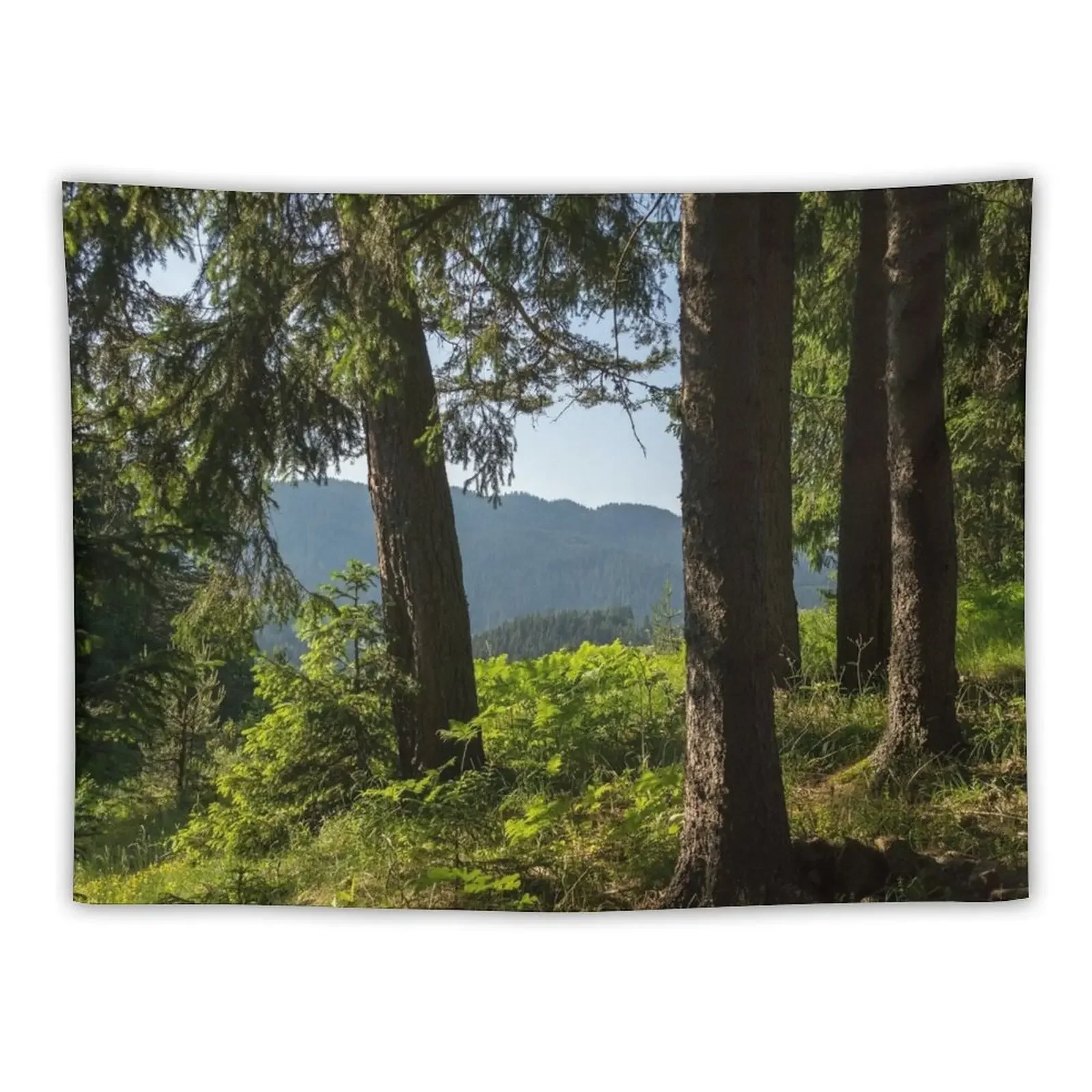 

Mountains Framed by Forests Tapestry Decorative Paintings Funny Tapestry