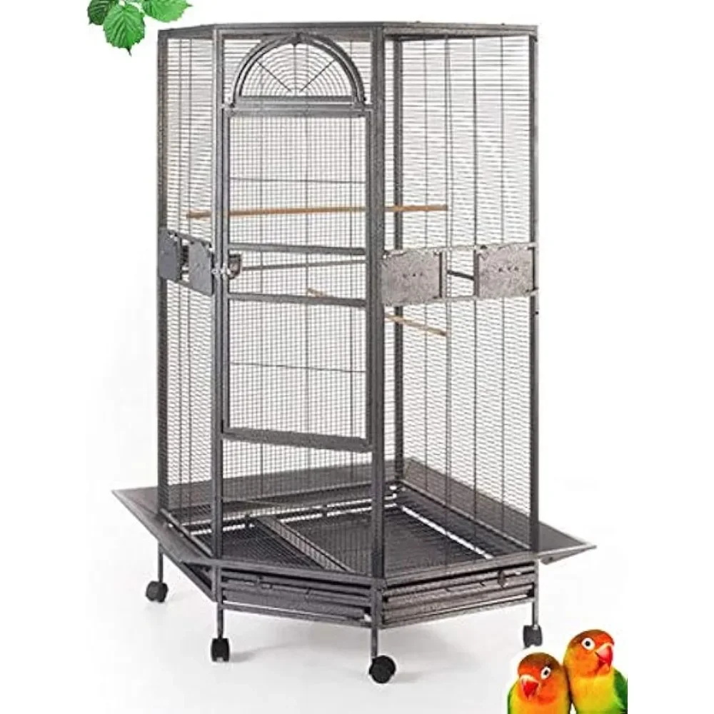 Bird Cage, 64 