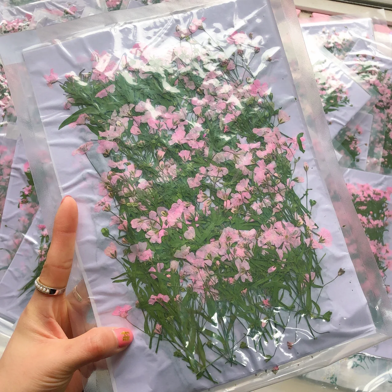 12 pezzi 5-6 cm testa di fiore - Dried Flower Bookmark recensione e prezzo