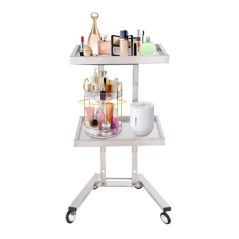 

Stainless Steel Salon Tray on Wheels Folding Beauty Salon Trolley with Tray 2 Tier Metal Rolling Cart for Kitchen Bathroom