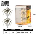02-2p-1Box