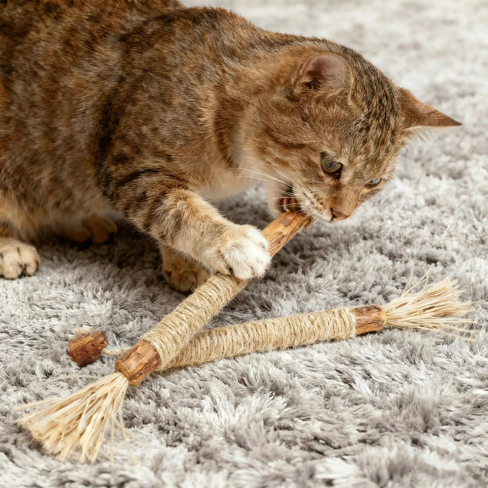 5 sztuk naturalnych pałeczek Silvervine, odporne na gryzienie, artykuły dla zwierząt, naturalne pałeczki Silvervine, zabawki do żucia dla kotów, artykuły dla zwierząt.