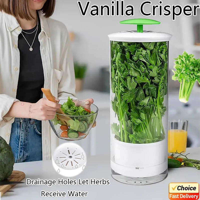 

Herb Saver Storage Container Fresh Herb Keeper Vanilla Vegetables Fresh Breathable Preservation Bottle for Refrigerator Kitchen