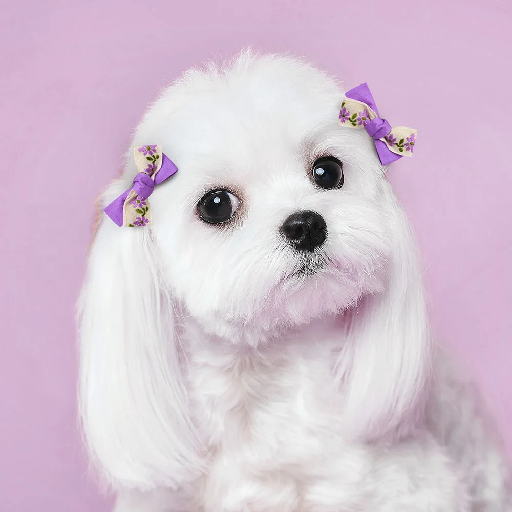 10PCS Cute Dog Bowknot Purple Style Bows Pet Dog Hair Pet Dog Flower Headware Rubber Band for Dogs Puppy Grooming Accessory