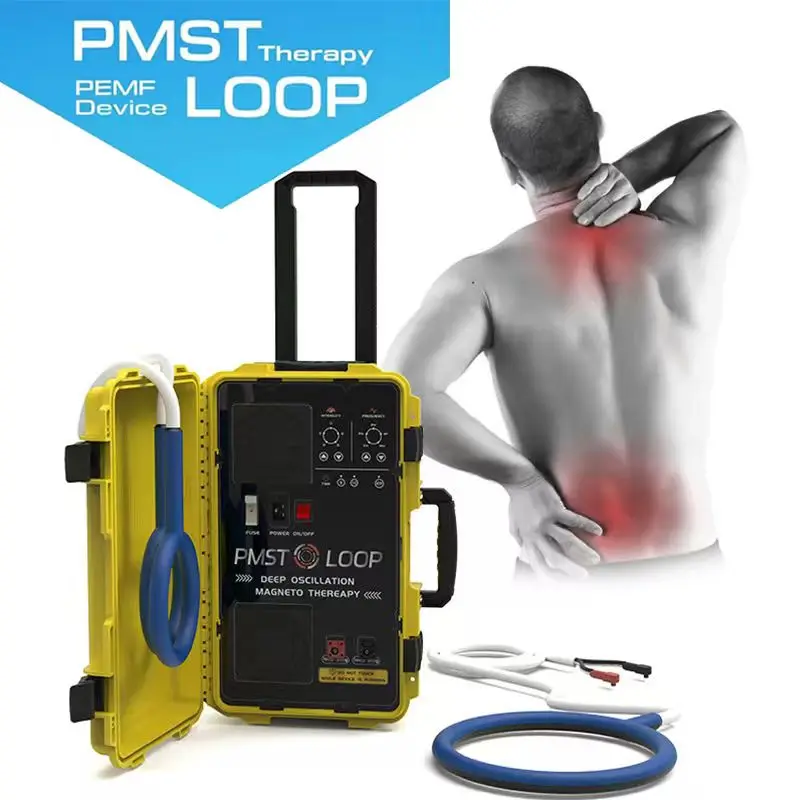 

2026 EMTT PEMF Magnetic Therapy Mat Standing Recovery Machine for Horse Sport Injuries & Body Pain Relief Targeted PEMF Loop