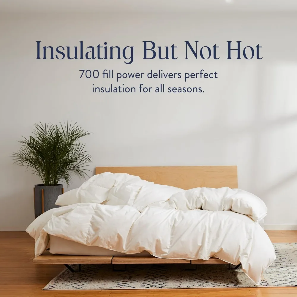 لحاف كندي طبيعي داك داون لجميع المواسم - قوة ملء 700، غطاء قطن 100%