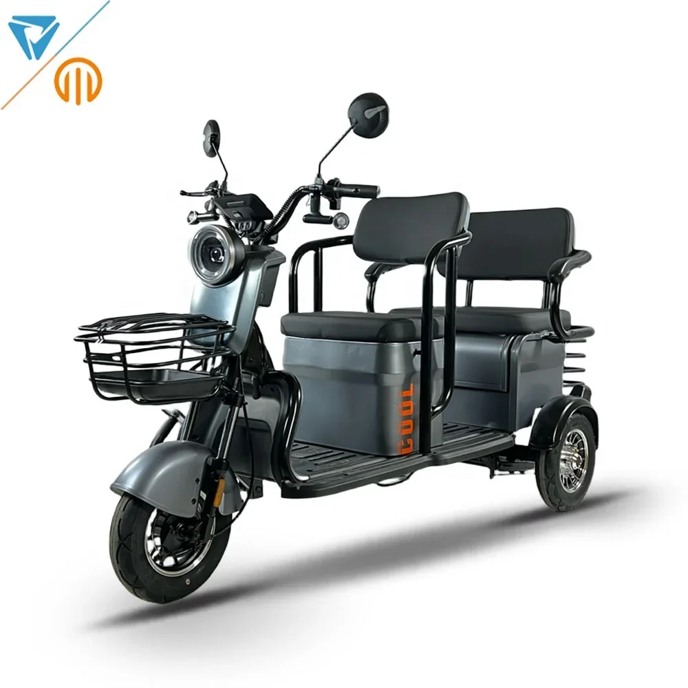 

2024 Popular cargo Tricycle high quality 3 Wheels Electric Motorcycle 1000W electric pedicab