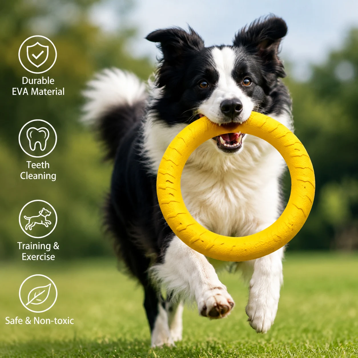 Interactive Dog Soccer Toy with A Grip Ring Durable Water Ball for Dogs Self Playing Training Football Toy Outdoor view 2