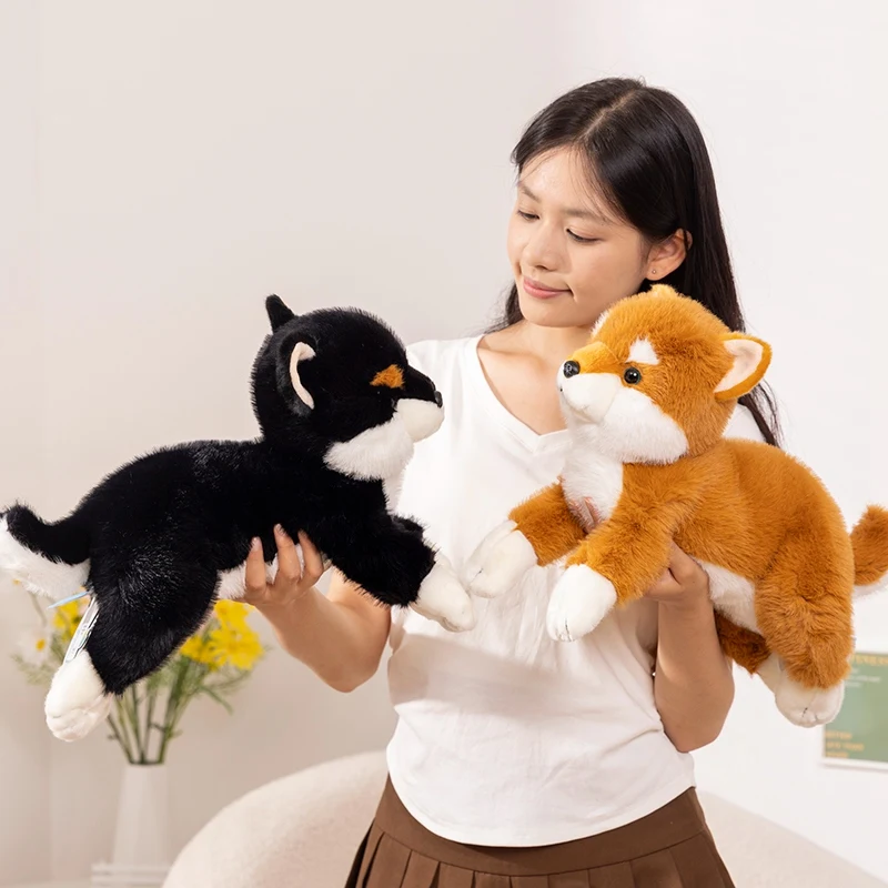 Peluche de la série Dog Butter pour garçons et filles, jouet en peluche réaliste, Shiba Inu, Husky, simulation mignonne, cadeau de Noël et d'anniversaire, haute qualité