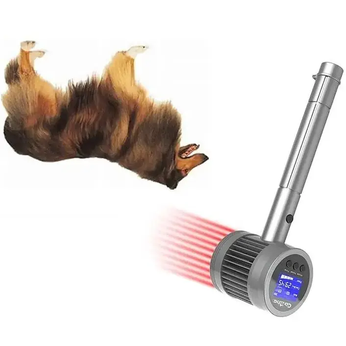 

Veterinary Cold Laser for Small Animals - Dual Wavelength (650nm+808nm) for Pain Relief & Tissue Regeneration