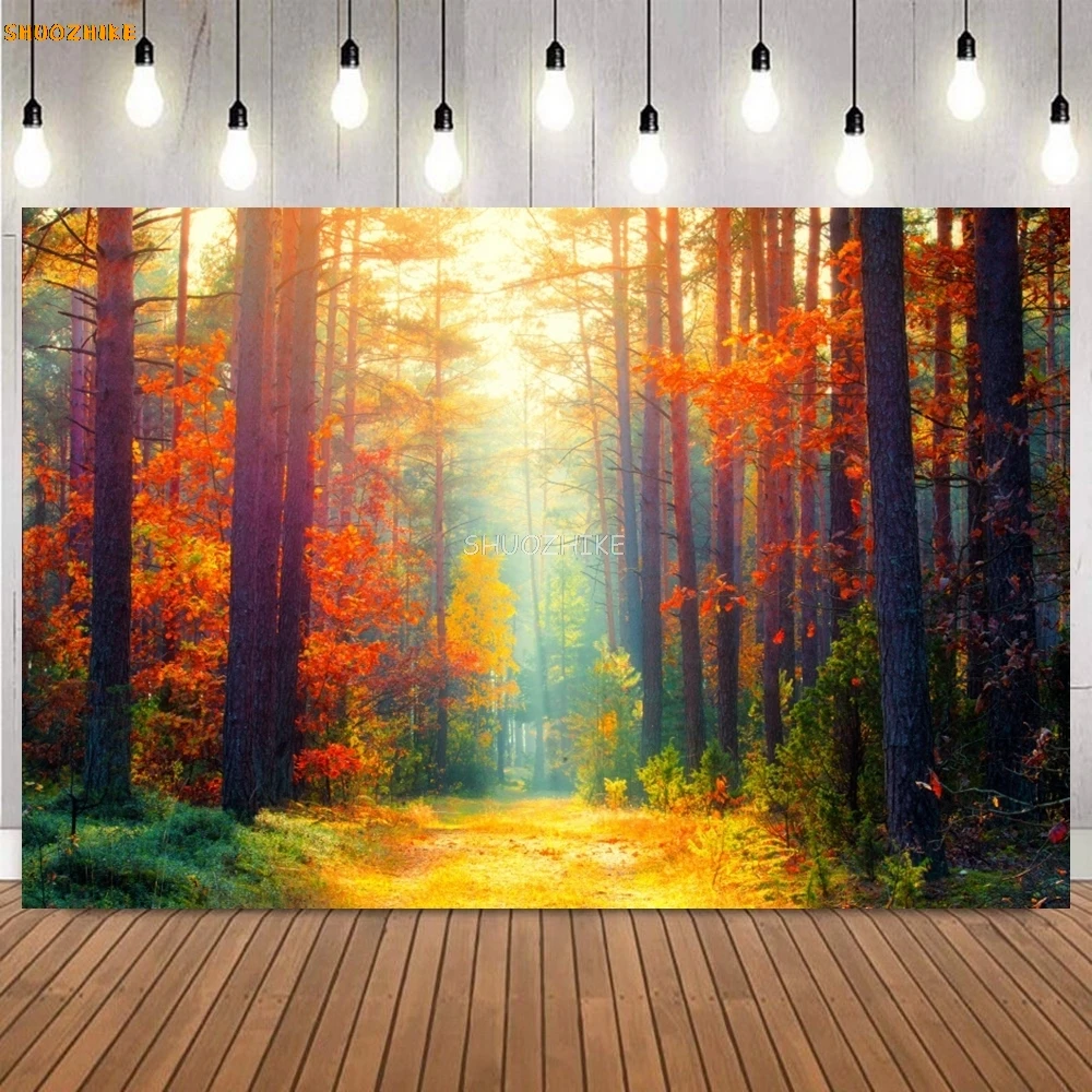 秋の森の写真の背景、写真の背景、自然の風景、秋の黄色のカエデの葉、経路、大人、子供、肖像画