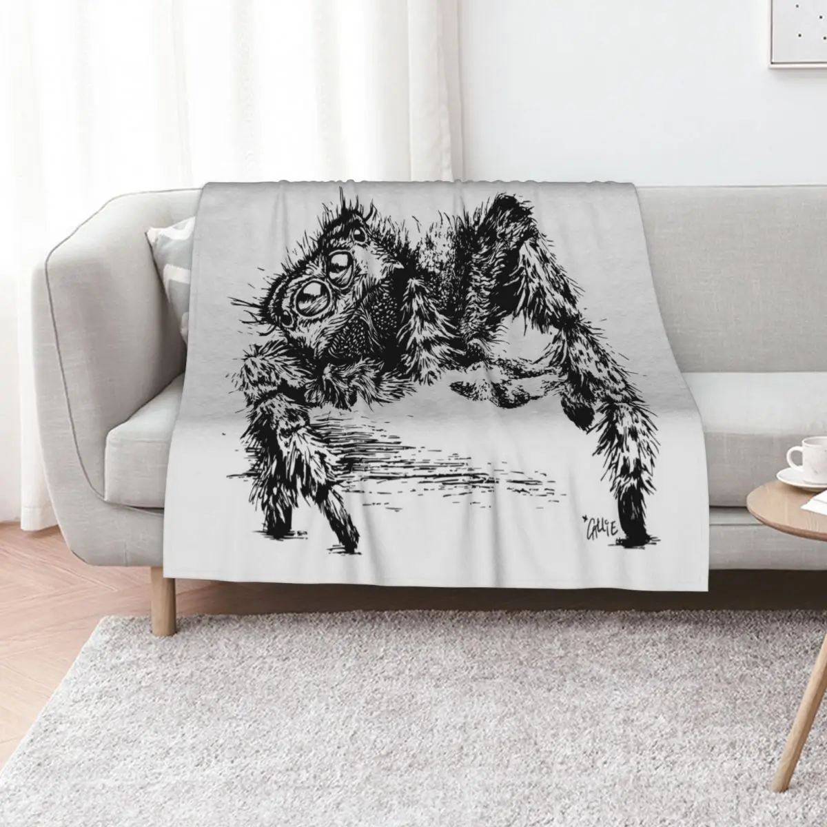 Jumping Spider Encounter Throw Blanket Luxury Designer warm winter Blankets Sofas Of Decoration Multi-Purpose Hair Blankets