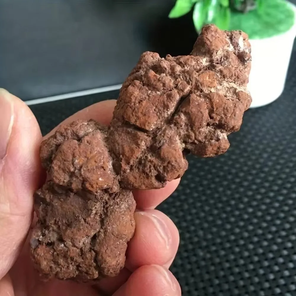 Realistic Dinosaur Collectibles - Prehistoric Dung Stones, Energy Meditation Synthetic Dinosaur Dung with Skeletal Texture,