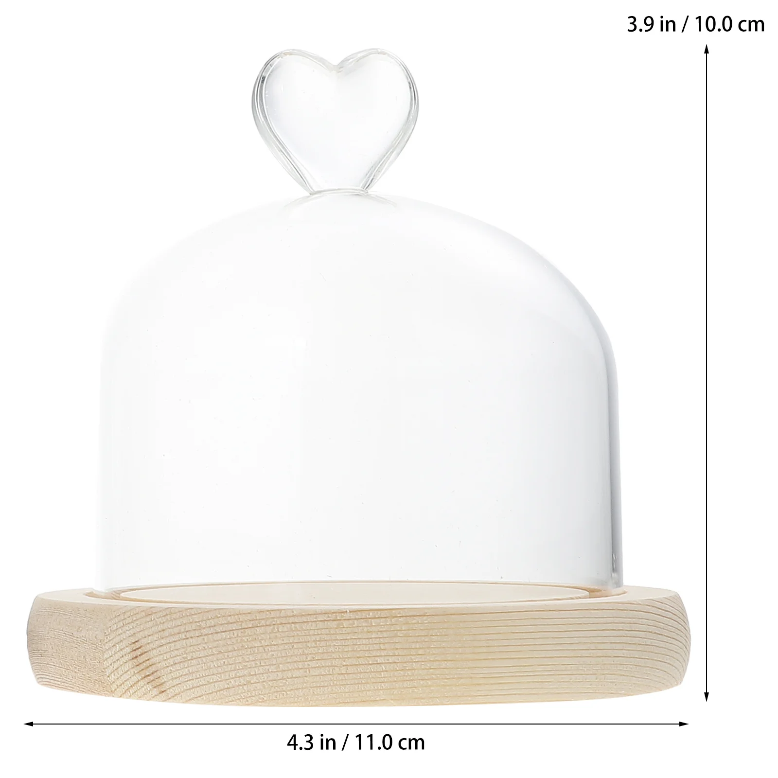 2 قطعة غطاء زجاجي على شكل زهرة خالدة عرض أنيق لزهور الحرير المجففة العناصر الصغيرة ديكور المنزل الداخلي للسيارة