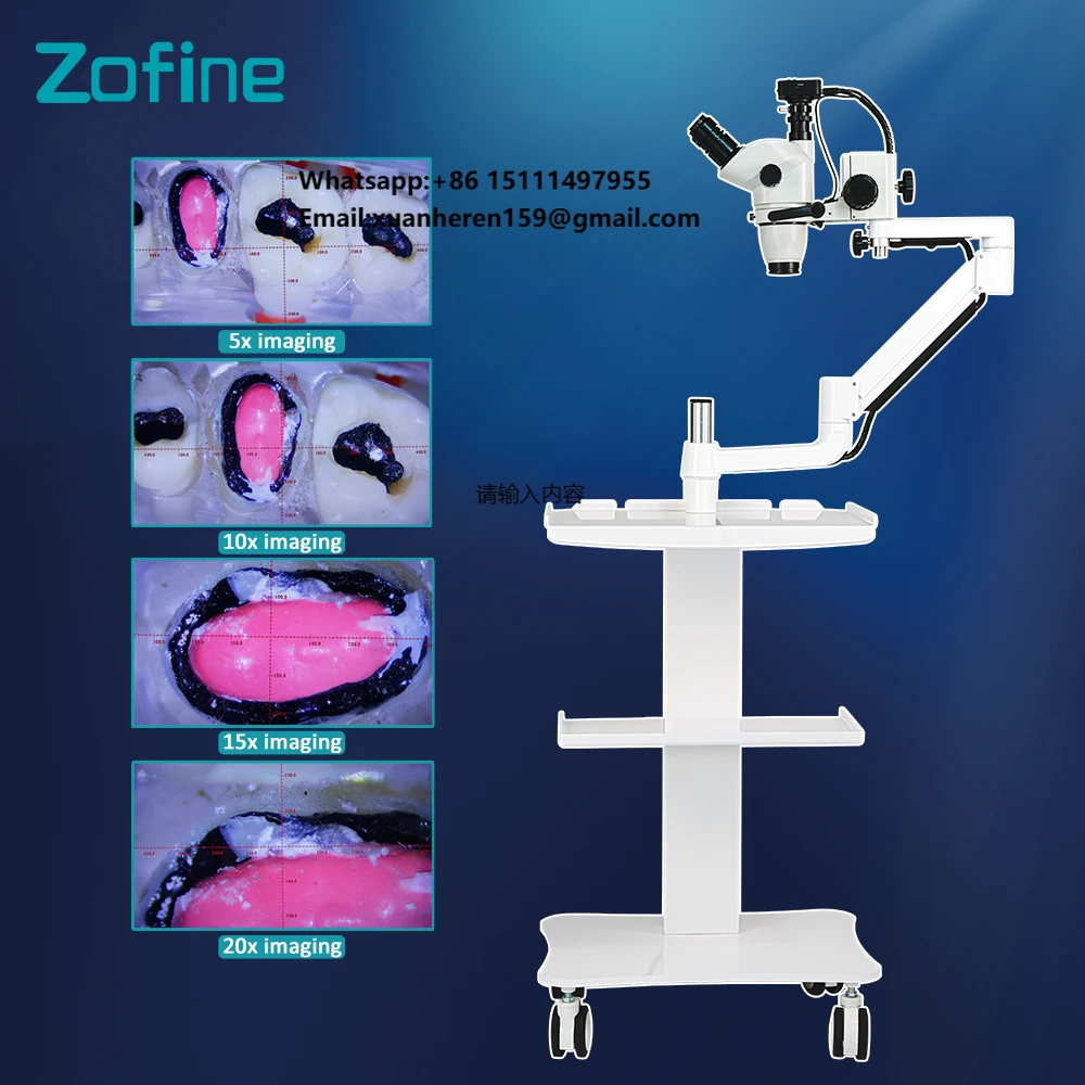 

Z81 Dental Operating Microscope for Endodontic Treatment Essential Oral Therapy Equipment & Accessory