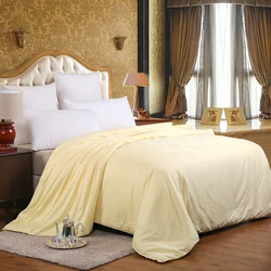 Spring Summer Mulberry Silk Blanket Quilt 100% Silk Filling Single Double Bed Twin Full Queen King Size Jacquard Comforter