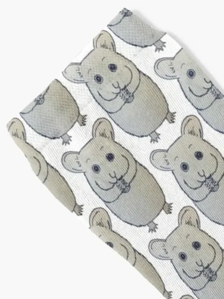 hamster Socks sport new year Heating sock japanese fashion Socks Women's Men's