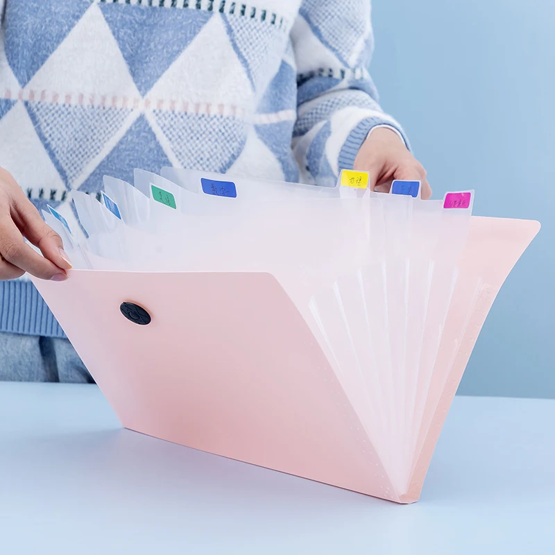 1 Student File Folder with Cute Transparent Accordion Style Storage Bag with 5 Compartments for Organizing Tools