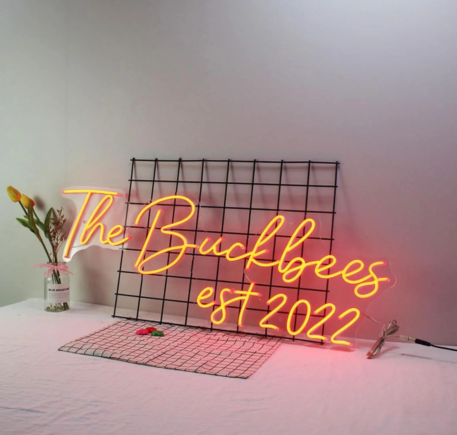 

Custom Neon Sign Personalized Dimmable LED Sign for Family, Party Neon lights for Wall Decor, Wedding Birthday Neon Light