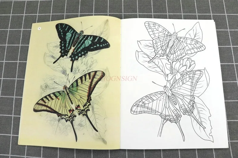 tattoo book Flower Story, Plant Coloring, Colored Lead, Handpainted Book, Introductory Tutorial Book, Painting of Flowers