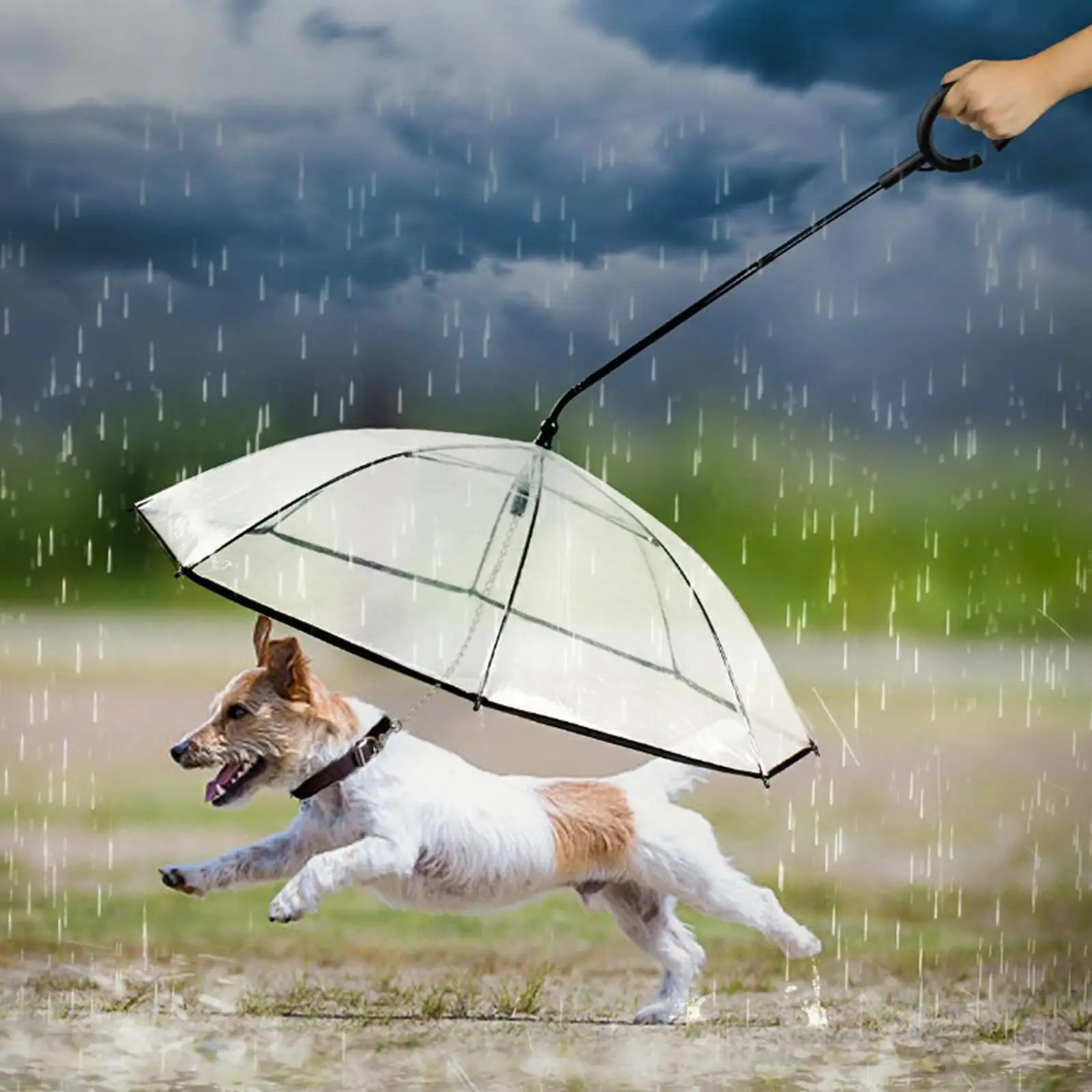 Hondenparaplu Met Riem Hond Dry Walking Waterdichte Natte Sneeuw Regen Regenjassen