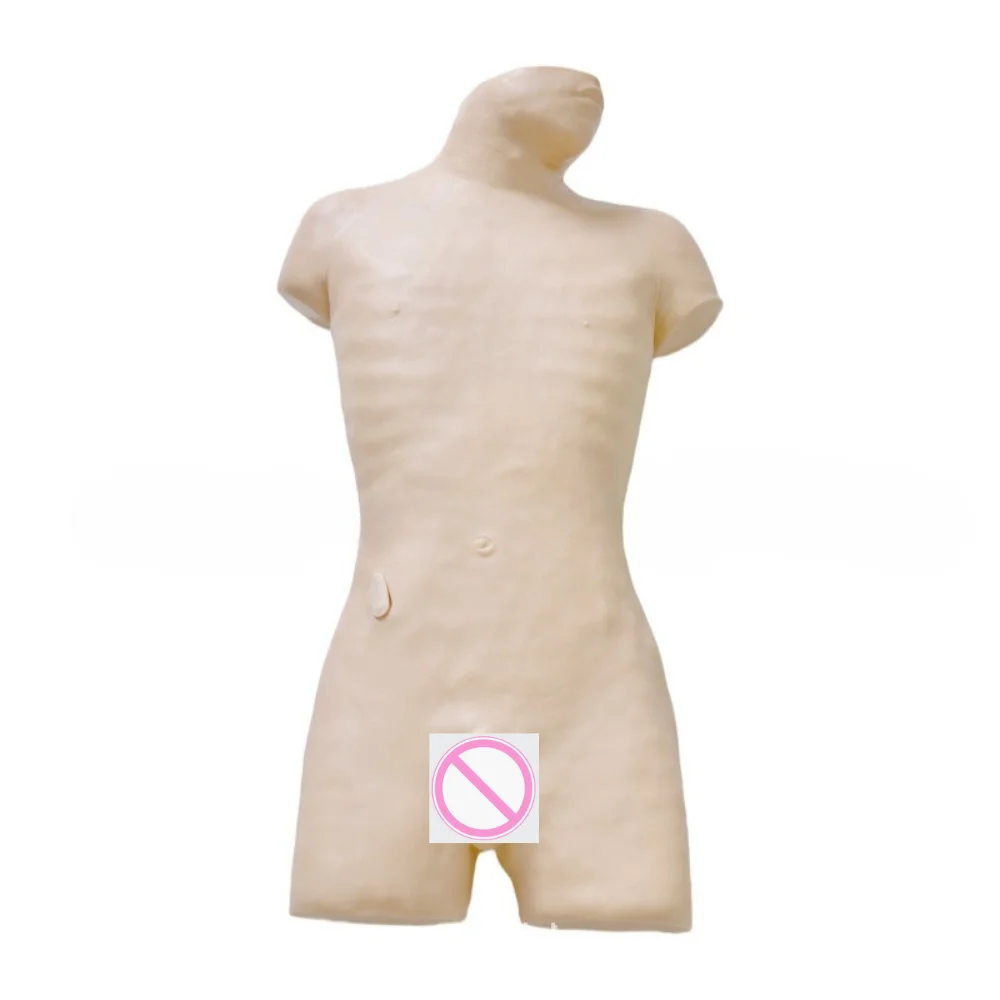 Bone Marrow Puncture Training Model Medical Science Simulator Teaching Material for Medico Medicine College School and Hospital