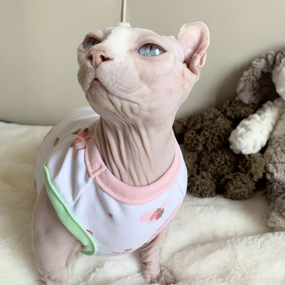 Sweet Cotton Shirt for Sphynx Female Cat Clothes Soft Pink Short Sleeves Vest for Kittens Cute Strawberry Coat for Devon Rex