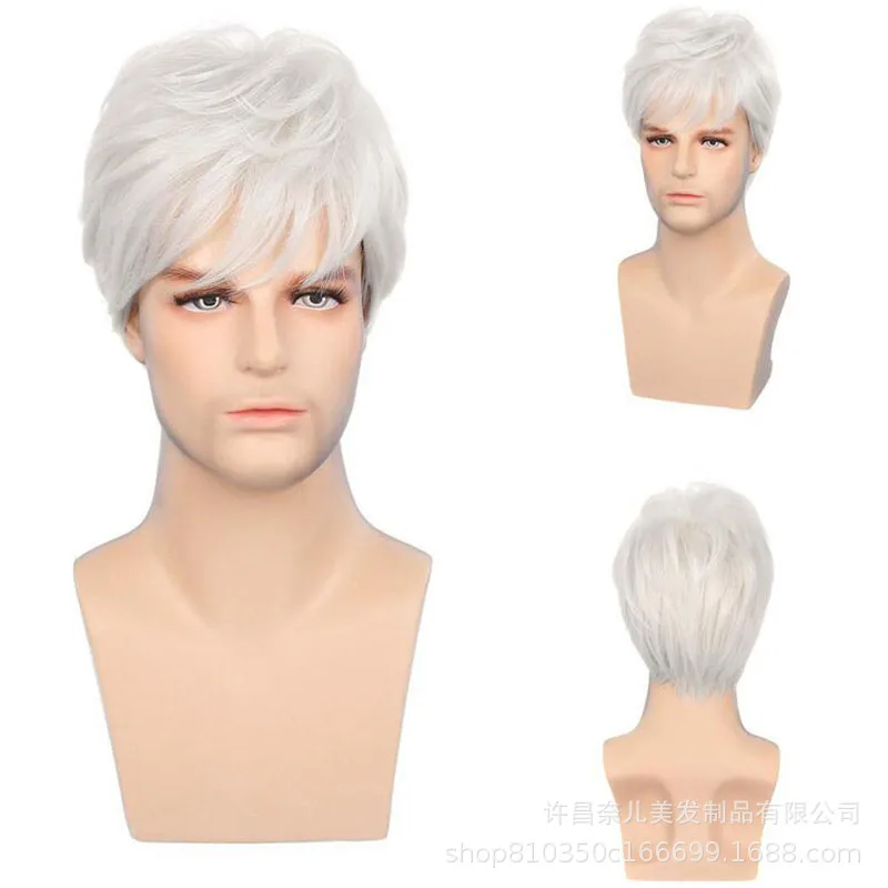 

Men's Wig for Gray Hair, European and American Style, Gentleman's Short White Wig for Elderly, Realistic and Handsome for DadMen