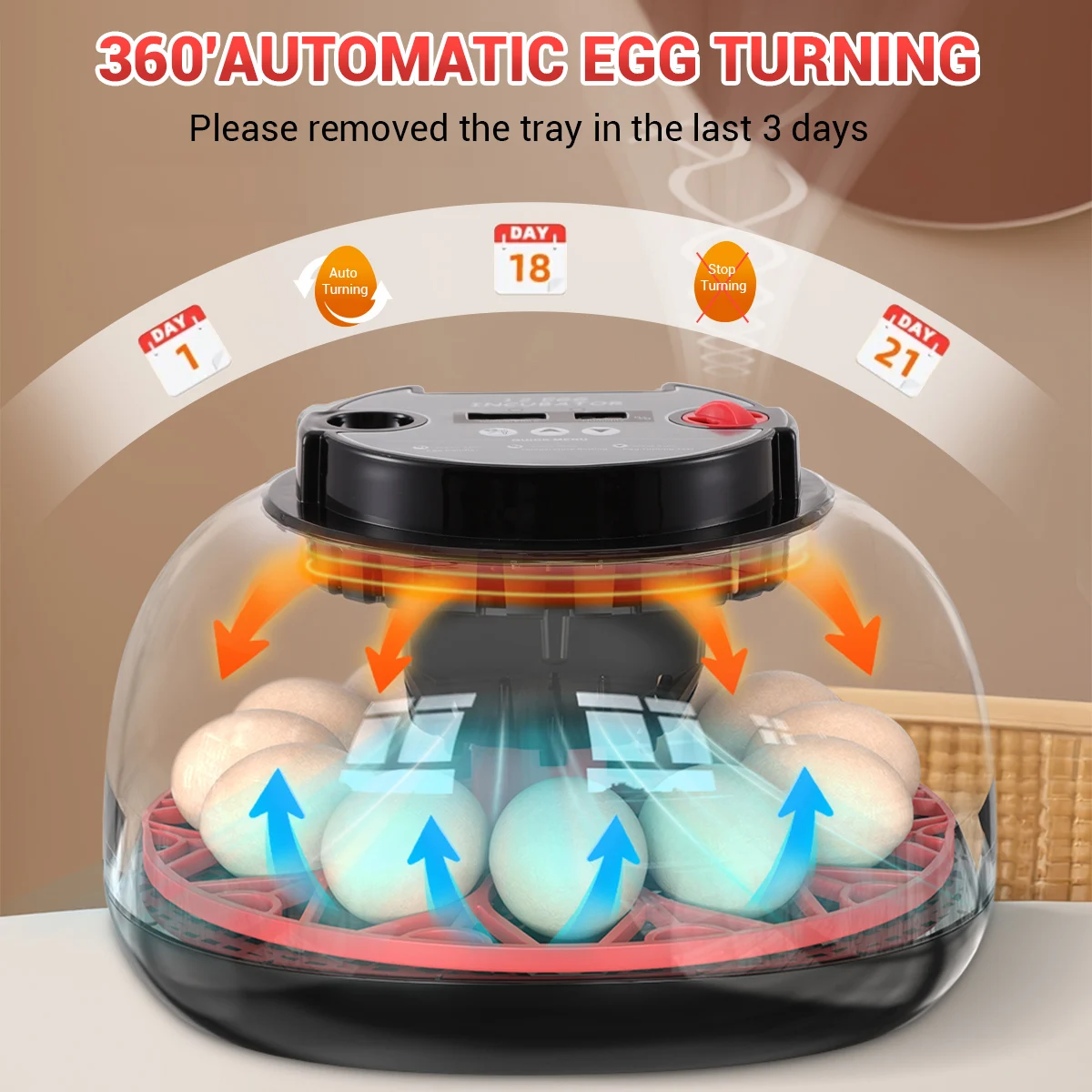 12마리 병아리 부화기 계란 부화기 메추라기 앵무새 가정 사육 지능형 부화기