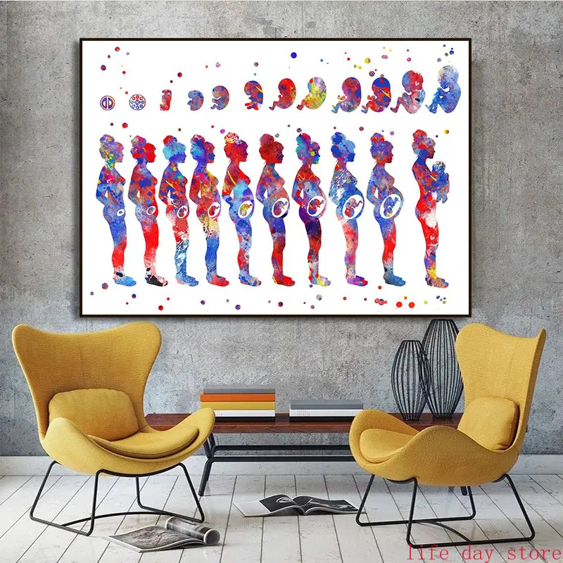 Watercolor Pregnant Woman Bred Baby Nordic Poster Sperm Ovum Fertilized Egg Wall Art Canvas Painting Gynecology Midwifery Decor