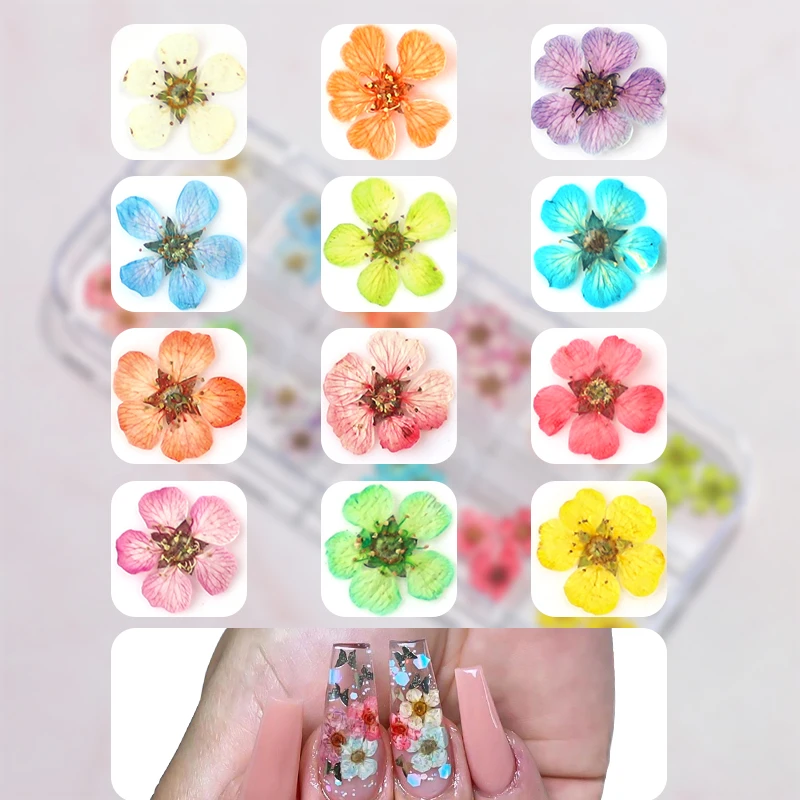 3D trockene Blume Nail Art Dekoration echte Mini getrocknete Blüte Aufkleber natürliche Blumen Charms Designs DIY Maniküre Nägel Zubehör