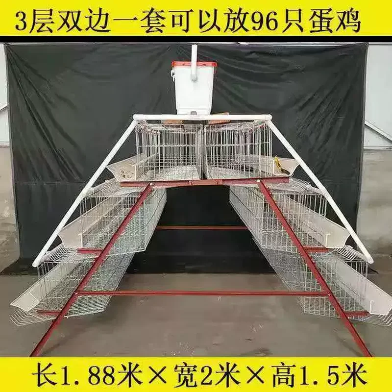 Free Shipping Hot Dip Galvanized Stepped Layer Chicken Cage 4 Door Automatic Rolling Egg Collection System for Poultry Farm