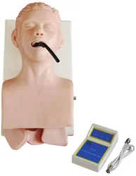 High Quality Mannequin Human Trachea Intubation Model For Human And Infant Newborn Training Medical Science Model