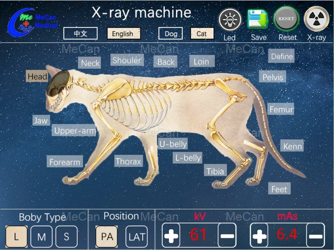 Profesjonalny System radiografii sprzęt weterynaryjny Xray medyczny sprzęt rentgenowski cyfrowy mobilny aparat rentgenowski dla weterynarza