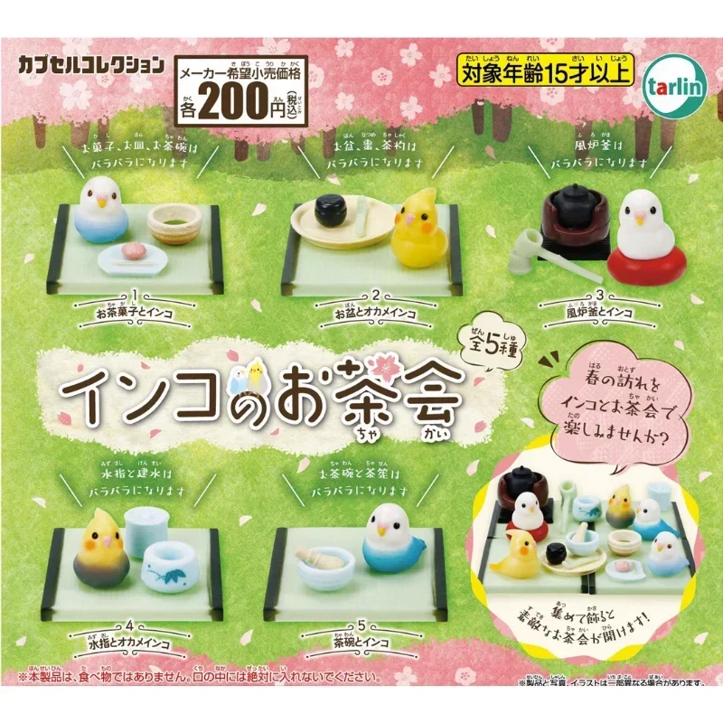 

TARLIN Original Japan Gashapon Figure Anime Kawaii Parrot Tea Party Miniature Gacha Figurine Cute Capsule Toy Accessories