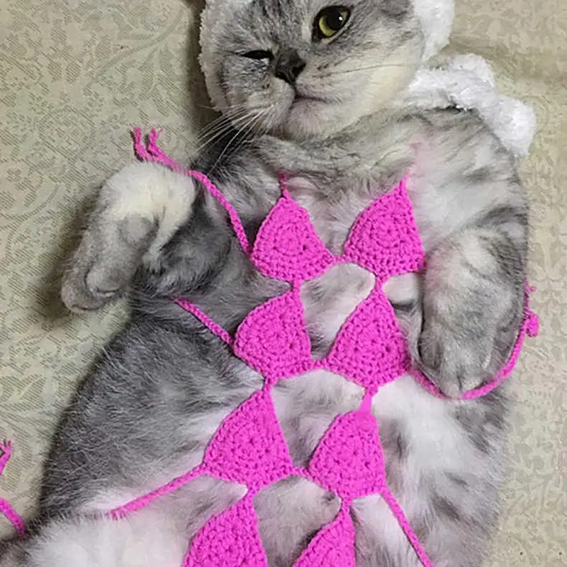 Pet Cosplay Costume Pet Clothes With 8 Bras Handmade Wool Kitten Bikini Clothing Creative Dog Underwear Photo Props