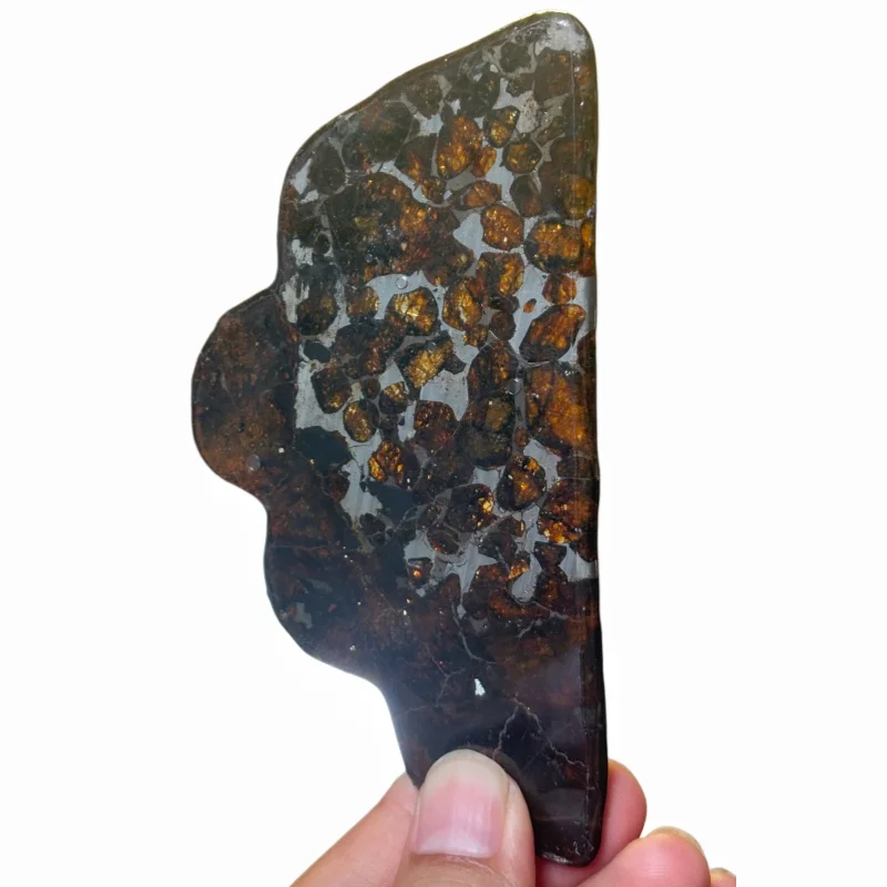 Kenya Pallasite Meteorite Slice with Beautiful Olivine Inclusions Polished Slab for Healing Crystal & Meteorite Collection QA852