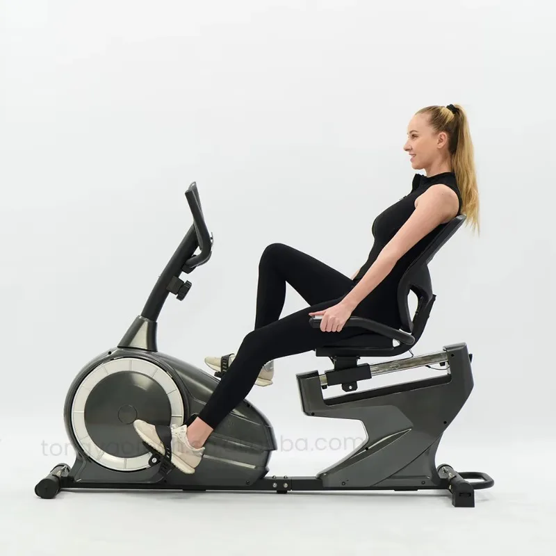 Indoor Spin Bike Body Fit Fitness Equipment for Gym Use Metal Material on Sale